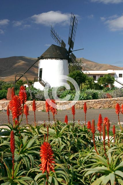 Windmill, Antigua, Fuerteventura, Canary Islands. Creator: Peter Thompson.