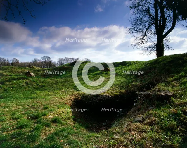 Windmill Tump Long Barrow, Rodmarton, Gloucestershire, 2010. Artist: Historic England Staff Photographer.