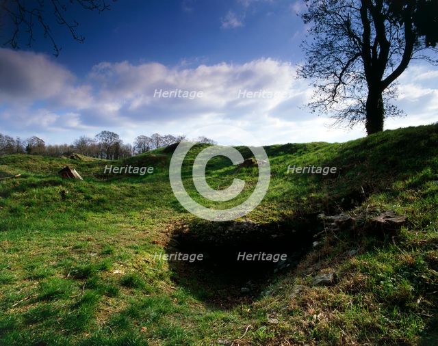 Windmill Tump Long Barrow, Rodmarton, Gloucestershire, 2010. Artist: Historic England Staff Photographer.