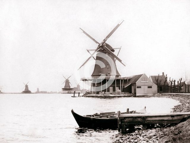 Windmills, Laandam, Netherlands, 1898.Artist: James Batkin