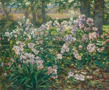 Windflowers, 1912. Creator: Gaines Ruger Donoho