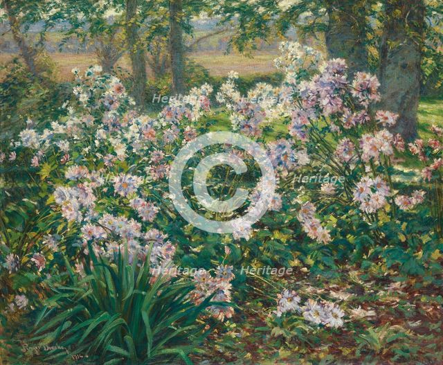 Windflowers, 1912. Creator: Gaines Ruger Donoho.