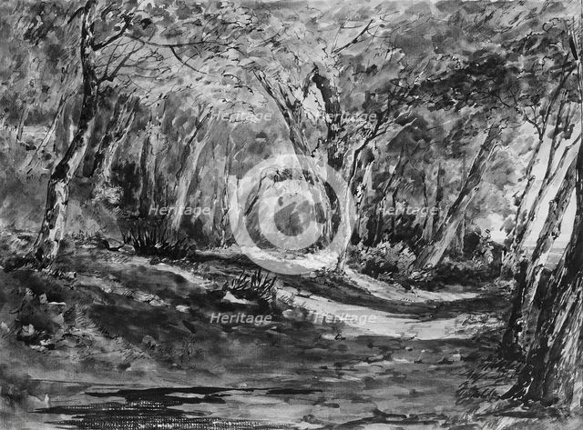 Windsor Forest, 1844. Creator: John Frederick Kensett.
