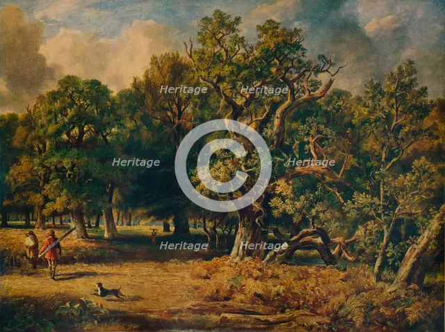 'Windsor Forest', c1835. Artist: James Stark.