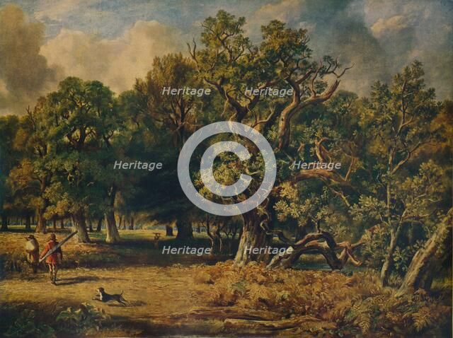 'Windsor Forest', c1835. Artist: James Stark.