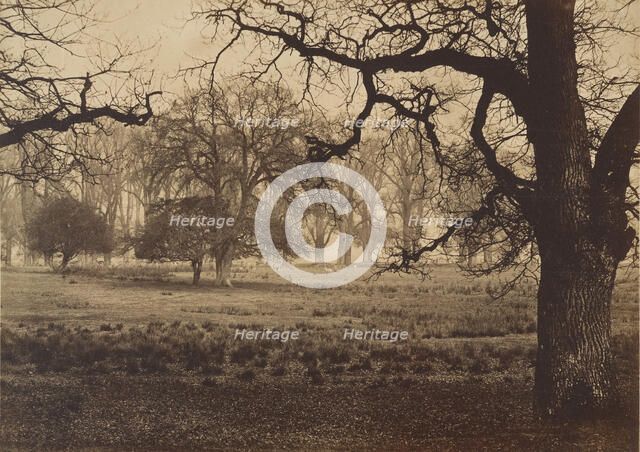 Windsor Park, Deer Feeding, 1850s. Creator: W. H. Nicholl.