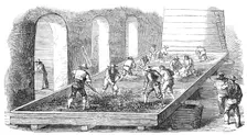 Wine-Making, at the Chateau Lafitte, 1854. Creator: Unknown