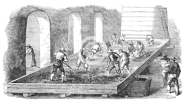 Wine-Making, at the Chateau Lafitte, 1854. Creator: Unknown.