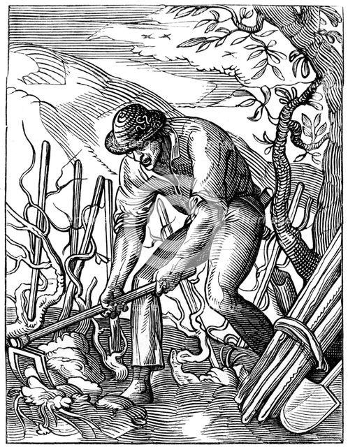 Winemaker, 16th century (1849).Artist: Jost Amman