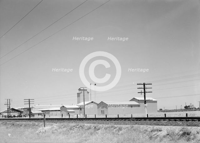 Winery belonging to Muscat Cooperative, on US 99. between Tulare and Fresno, California, 1939. Creator: Dorothea Lange.