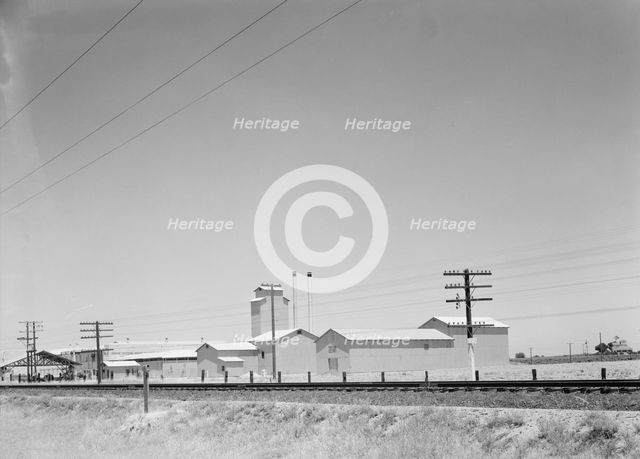 Winery belonging to Muscat Cooperative, on US 99. between Tulare and Fresno, California, 1939. Creator: Dorothea Lange.