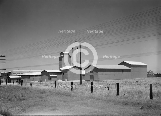 Winery belonging to Muscat Cooperative, on US 99. between Tulare and Fresno, California, 1939. Creator: Dorothea Lange.