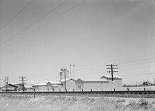 Winery belonging to Muscat Cooperative, on US 99. between Tulare and Fresno, California, 1939. Creator: Dorothea Lange