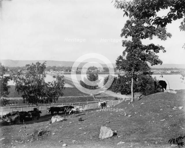 Winona from bluffs west of city, between 1880 and 1899. Creator: Unknown.