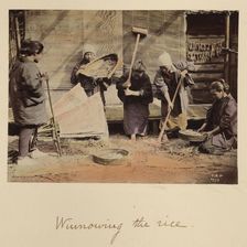Winnowing the rice, about 1873-1883. Creator: Shinichi Suzuki I