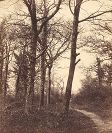 Winter, 1855. Creator: Charles Conway