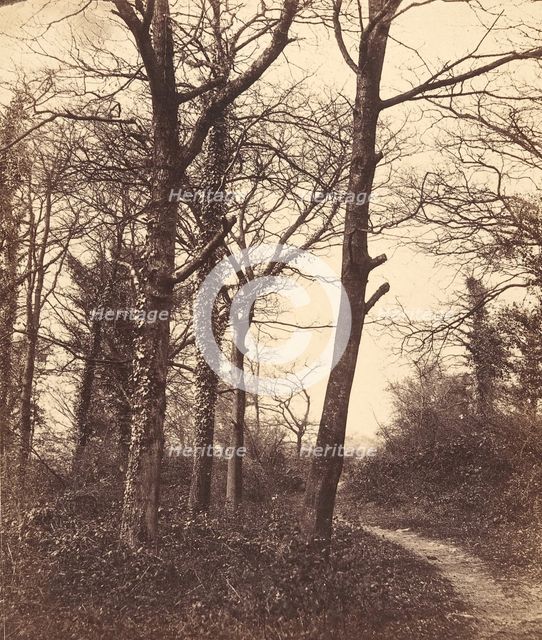 Winter, 1855. Creator: Charles Conway.