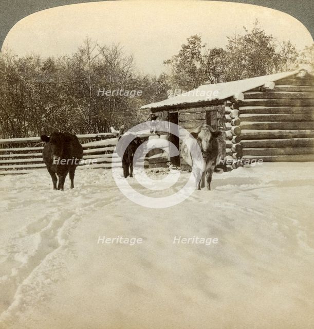 Winter on a ranch, Montana, USA.Artist: Underwood & Underwood