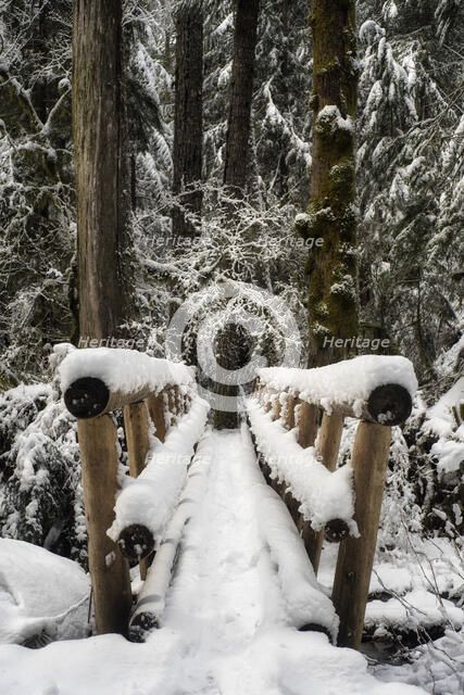 Winter Crossing. Creator: Joshua Johnston.