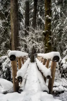 Winter Crossing. Creator: Joshua Johnston