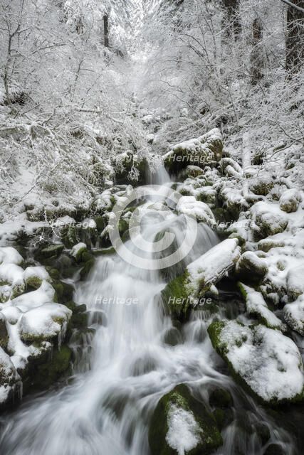 Winter Dream. Creator: Joshua Johnston.