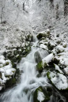 Winter Dream. Creator: Joshua Johnston