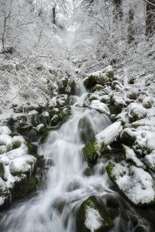 Winter Dream. Creator: Joshua Johnston