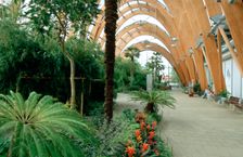 Winter Gardens, Sheffield, South Yorkshire. Creator: Peter Thompson