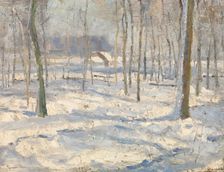 Winter landscape. Creator: Georges Buysse