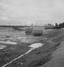 Winter quarters, migratory agricultural workers, beside the highway, Tulare County, 1939. Creator: Dorothea Lange