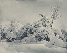 Winter's mantle, Mt Cook district, 1920s. Creator: Harry Moult