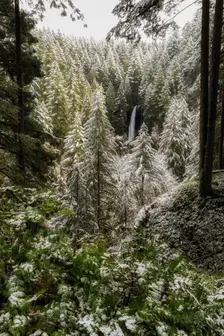 Winter's Touch. Creator: Joshua Johnston