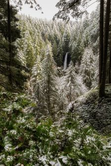 Winter's Touch. Creator: Joshua Johnston
