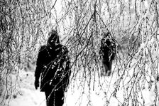 Winter Stroll. Creator: Dorte Verner