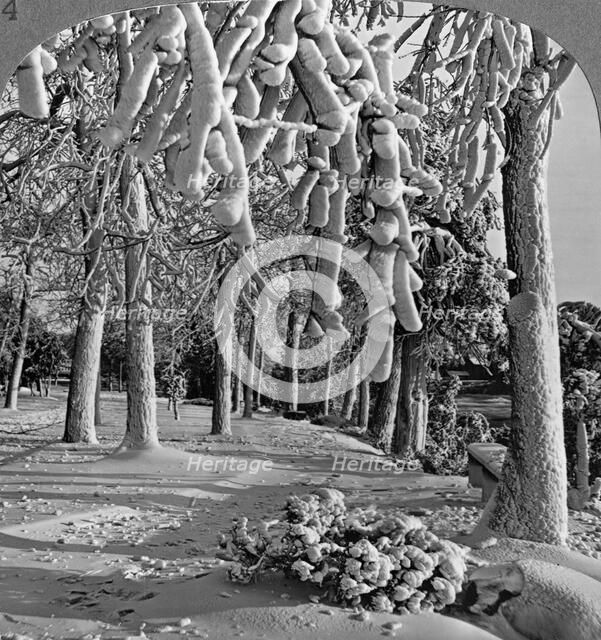 Winter scene, Goat Island, Niagara Falls, New York, USA.Artist: Realistic Travels Publishers