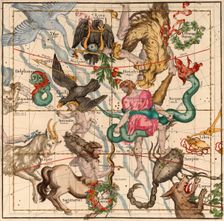 Winter Solstice , Plate 5 from Globi coelestis in tabulas planas redacti descriptio, 1674