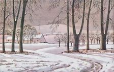 Winter - The Physical, Chemical and Biological Changes Wrought By The Sun During The Year 1935