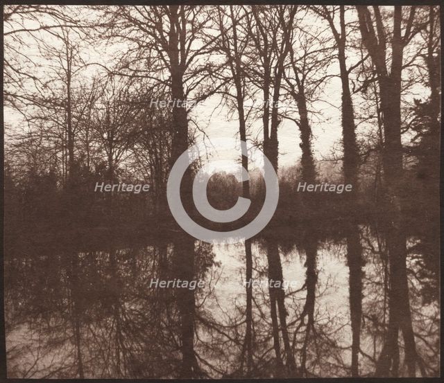 Winter Trees Reflected in a Pond, 1841-42. Creator: William Henry Fox Talbot (British, 1800-1877).