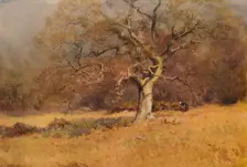 Winter Woods c1916, (1938). Artist: William Eyre Walker
