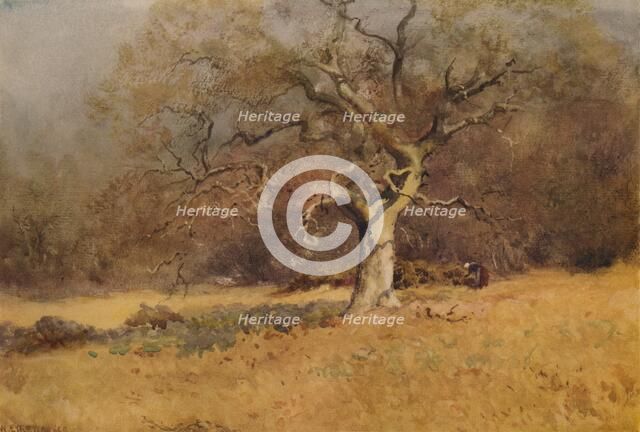 'Winter Woods', c1916, (1938). Artist: William Eyre Walker.