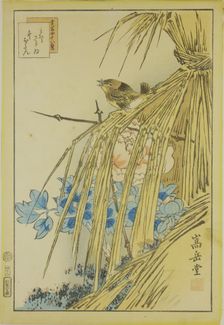Winter Wren and WInter Peony, from the series Forty-eight Hawks Drawn from Life, 1859