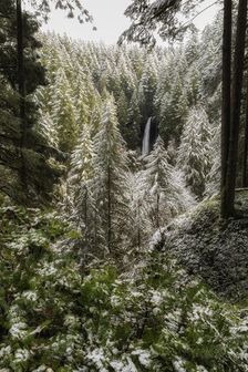 Winter's Touch. Creator: Joshua Johnston