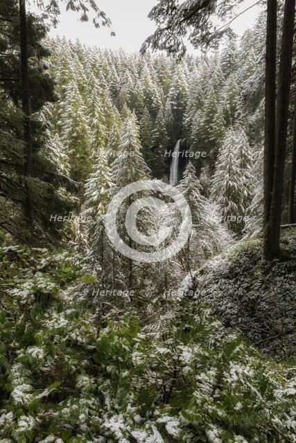 Winter's Touch. Creator: Joshua Johnston.