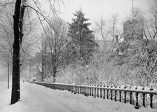 Winter's scene in Detroit, A, between 1900 and 1905. Creator: Unknown