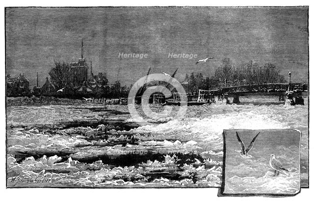 Wintry weather on the Thames: the river at Putney, 1881. Creator: Unknown.