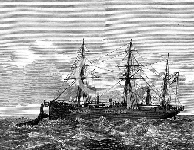 Wiring a whale by the Persian Gulf Submarine Telegraph Cable, 1873. Creator: Unknown.