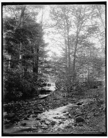 Wiscasset Glen, Mt. Pocono, Pa., between 1890 and 1901. Creator: Unknown