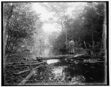 Wiscasset Pool, Mt. Pocono, Pa., between 1890 and 1901. Creator: Unknown