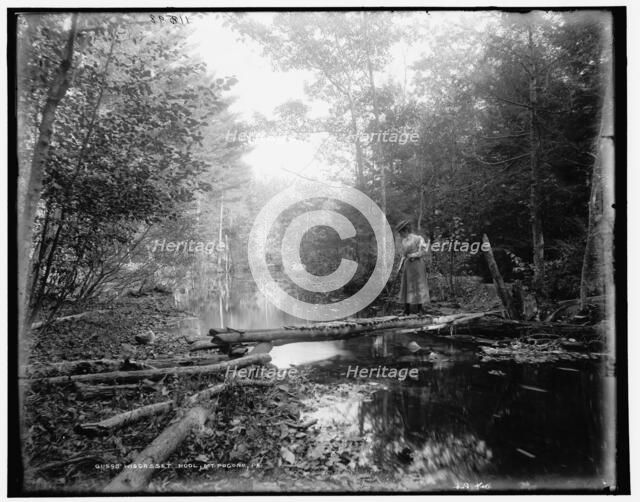 Wiscasset Pool, Mt. Pocono, Pa., between 1890 and 1901. Creator: Unknown.
