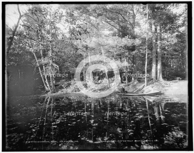 Wiscasset Pool, Mt. Pocono, Pa., c1900. Creator: Unknown.